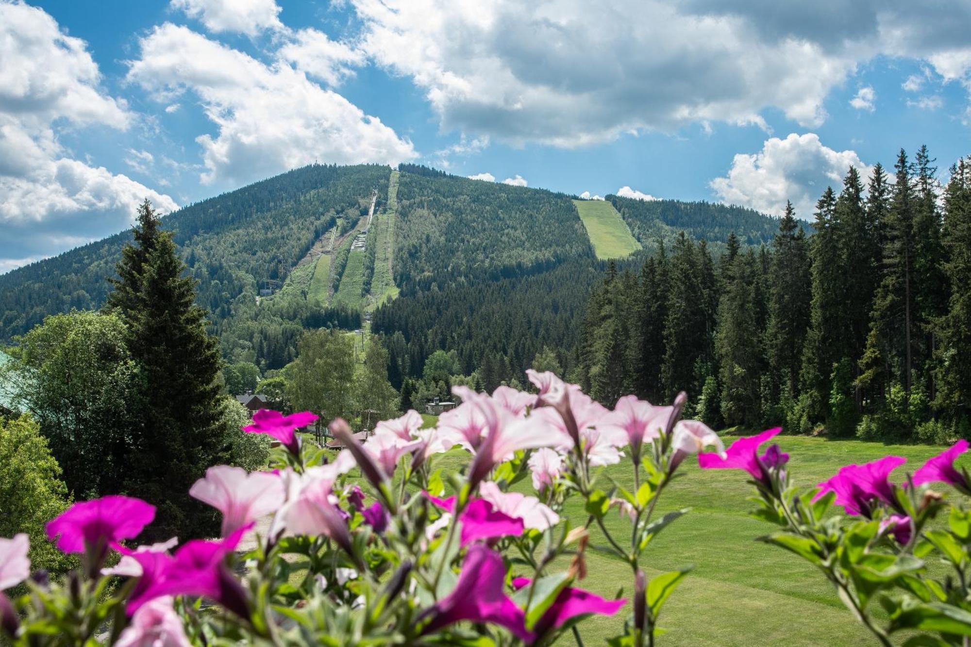 Wellness Hotel Sedy Vlk Harrachov Esterno foto